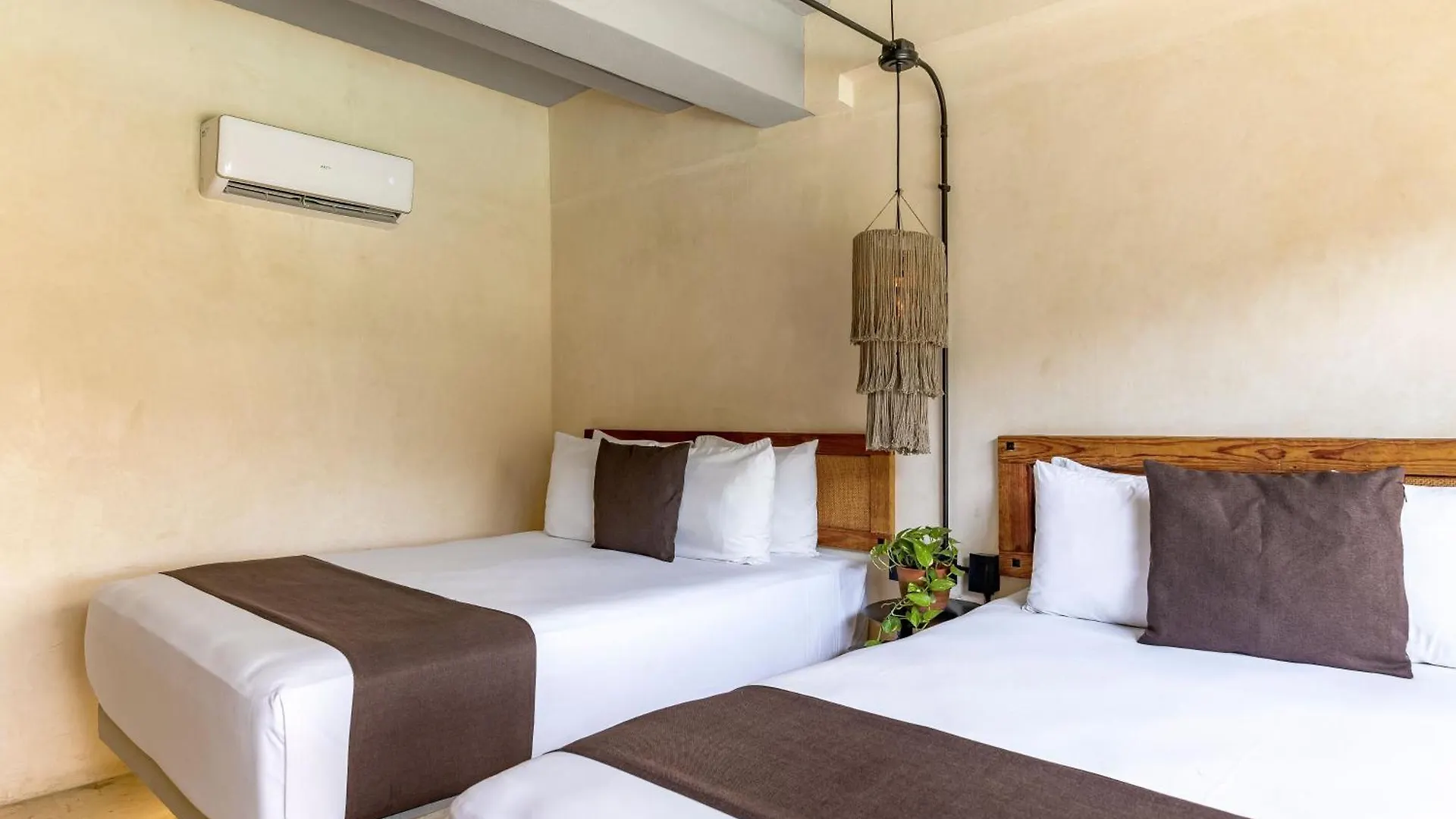 Caribbean Paradise Hotel & Spa - 5Th Avenue 신데 델 카르멘 멕시코