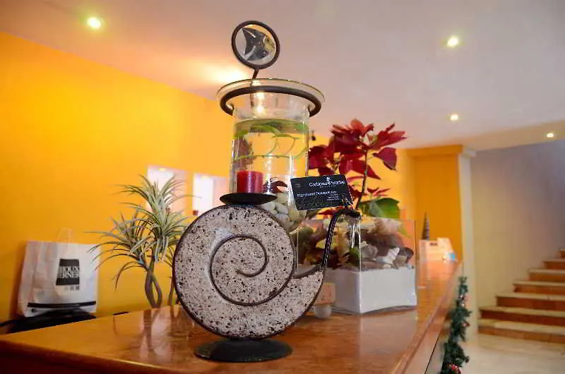 Caribbean Paradise Hotel & Spa - 5Th Avenue Playa del Carmen